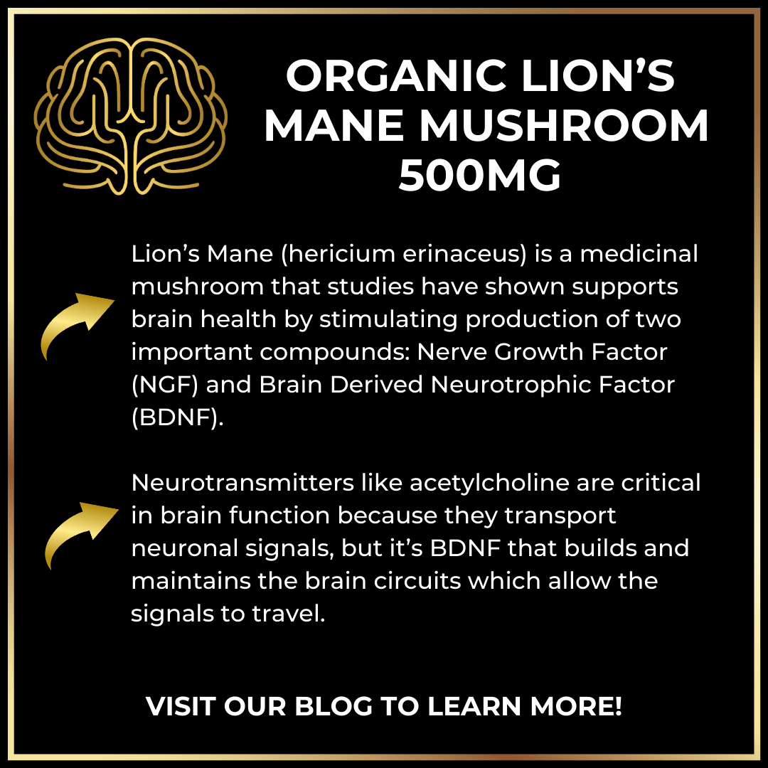 KBZ Long Handled Spoon+ Keto Brainz Nootropic Creamer