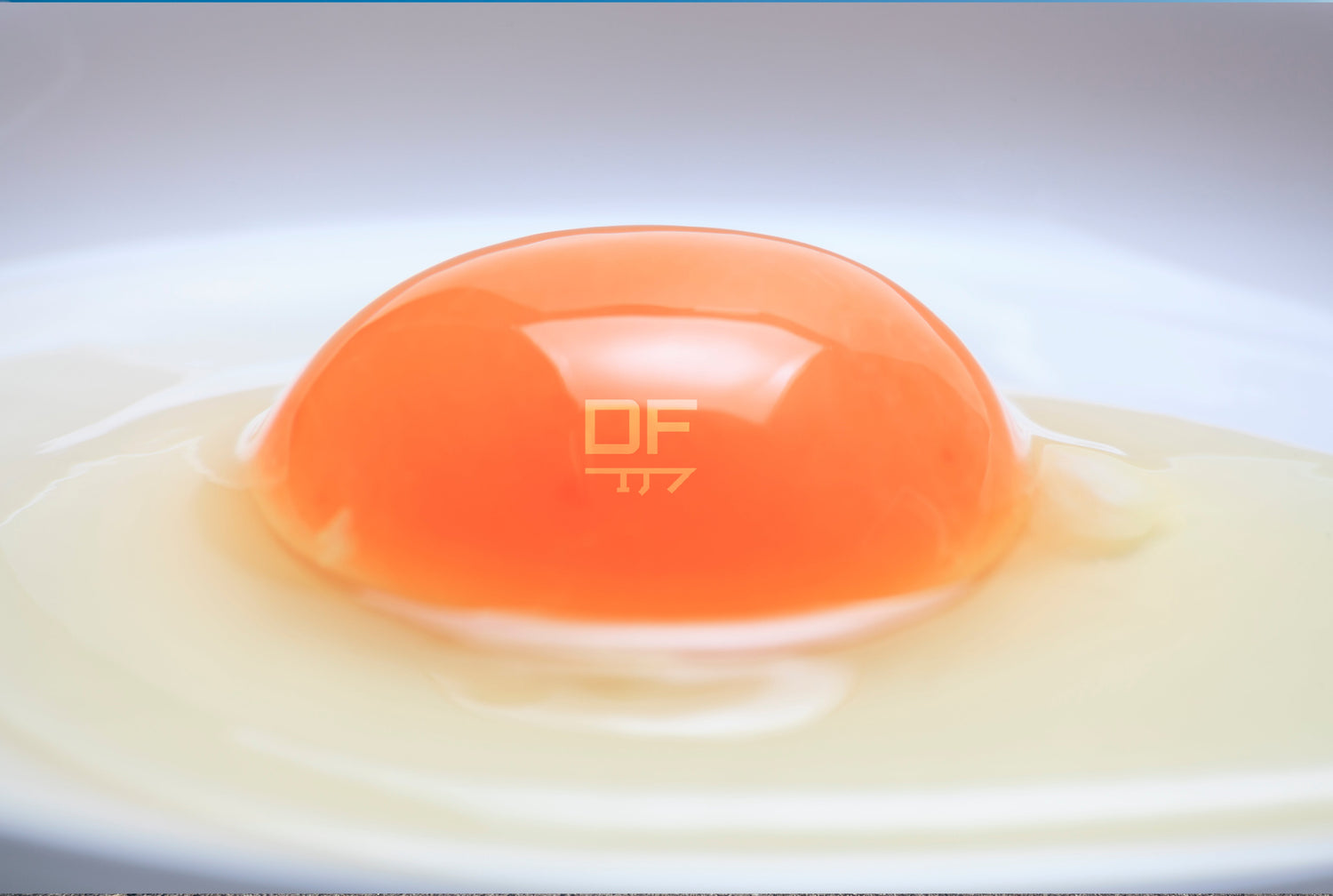 The Whole Egg: God’s Superfood Unveiled
